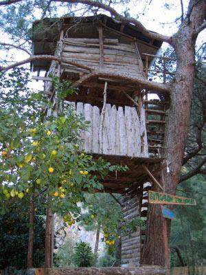 Bayrams Tree Houses Олимпос Номер фото