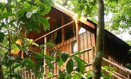 Bayrams Tree Houses Олимпос Экстерьер фото